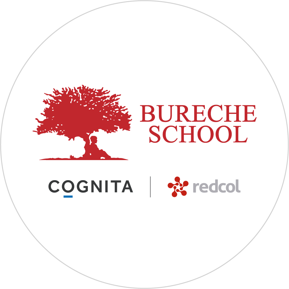 mondea - bureche-1